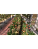 Farmer's Dynasty EU Steam КЛЮЧ ЕВРОПА Farmer's Dynasty EU Steam КЛЮЧ ЕВРОПА