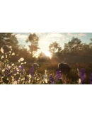theHunter: Call of the Wild - Mississippi Acres Prese theHunter: Call of the Wild - Mississippi Acres Prese