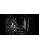 REC Desolation АВТОДОСТАВКА STEAM РОССИЯ