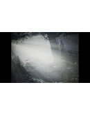 REC Desolation АВТОДОСТАВКА STEAM РОССИЯ