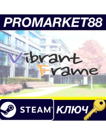 Vibrant Frame Steam КЛЮЧ GLOBAL