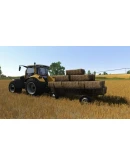 Farmer's Dynasty Steam КЛЮЧ GLOBAL Farmer's Dynasty Steam КЛЮЧ GLOBAL