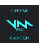 Voicemod PRO Войсмод ПРО Лицензия Lifetime