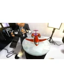 Airline Tycoon 2 Steam КЛЮЧ GLOBAL