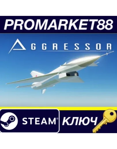 Aggressor Steam КЛЮЧ GLOBAL