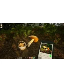 ВСЕ СТРАНЫ+РОССИЯ Mushroom Season STEAM GIFT