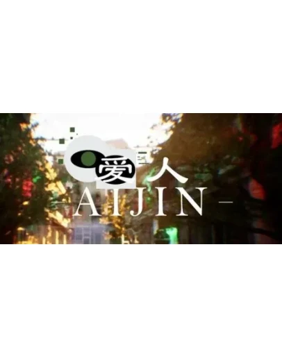 Aijin АВТОДОСТАВКА STEAM РОССИЯ