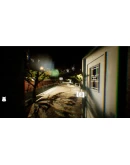 Aijin АВТОДОСТАВКА STEAM РОССИЯ