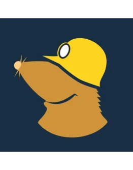 Mole VPN