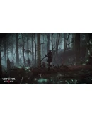 The Witcher 3: Wild Hunt - Hearts of Stone DLC GOG КЛ The Witcher 3: Wild Hunt - Hearts of Stone DLC GOG КЛ