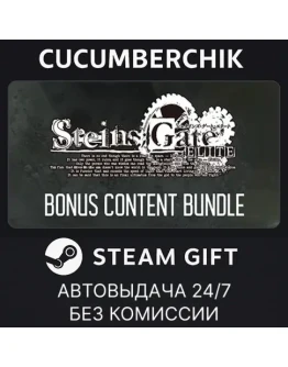 STEINSGATE ELITE - Bonus Content BundleSTEAMRU+МИР