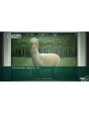 STEINSGATE ELITE - Bonus Content BundleSTEAMRU+МИР