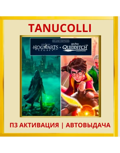 Hogwarts + Harry Potter Quidditch (PS4/PS5/RU Активация