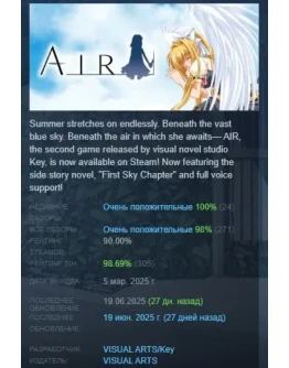 AIR 2025 АВТОДОСТАВКА STEAM РОССИЯ