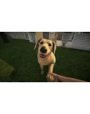 Pets Hotel ключ Global + RU/CIS РФ Россия СНГ стим