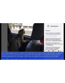 Cat President: A More Purrfect Union Xbox активация