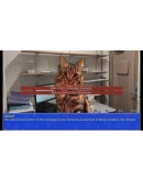 Cat President: A More Purrfect Union Xbox активация