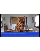 Cat President: A More Purrfect Union Xbox активация