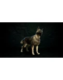 Diablo IV: Vessel of Hatred Ultimate Edition EU XBOX