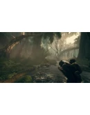 Ancestors: The Humankind Odyssey Steam КЛЮЧ GLOBAL