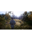 Hunting Simulator 2 (Steam key) RU CIS