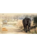 Wanderlust Travel Stories GOG КЛЮЧ GLOBAL