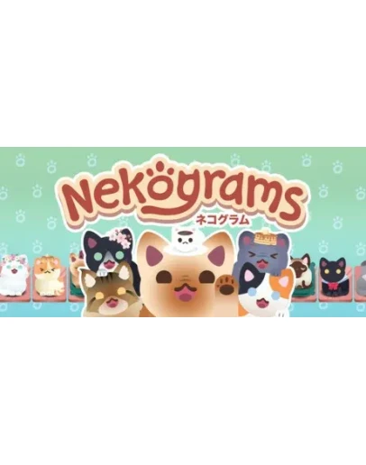 Nekograms АВТОДОСТАВКА STEAM РОССИЯ