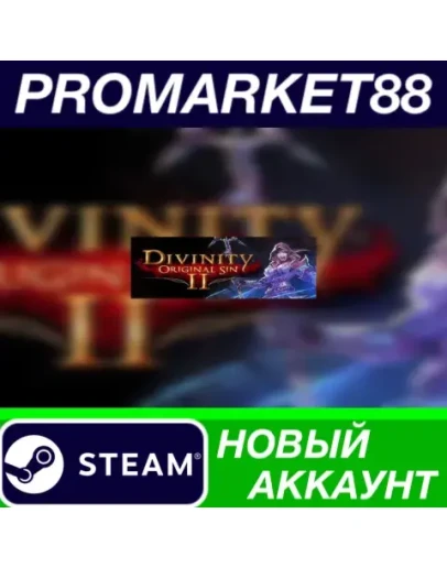Divinity: Original Sin 2 Eternal Edition Steam АККАУН