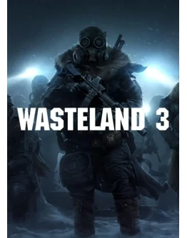 Wasteland 3 / п3 активация ps5