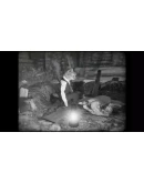 Cat Detective Albert Wilde Steam КЛЮЧ GLOBAL Cat Detective Albert Wilde Steam КЛЮЧ GLOBAL