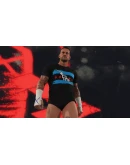 Набор WWE 2K24 ECW Punk Pack Xbox