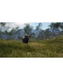theHunter: Call of the Wild - Emerald Coast Australia theHunter: Call of the Wild - Emerald Coast Australia