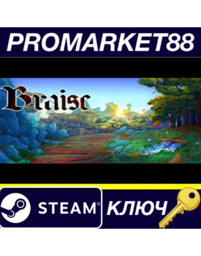 Braise Steam КЛЮЧ GLOBAL Braise Steam КЛЮЧ GLOBAL