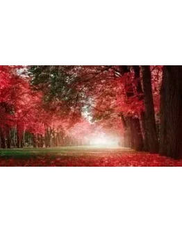 Тест товар с параметрами Тест товар с параметрами