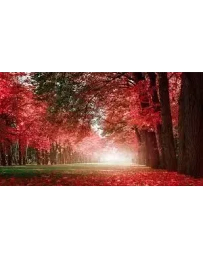 Тест товар с параметрами