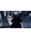Ghost of Tsushima Director's Cut Steam КЛЮЧ США