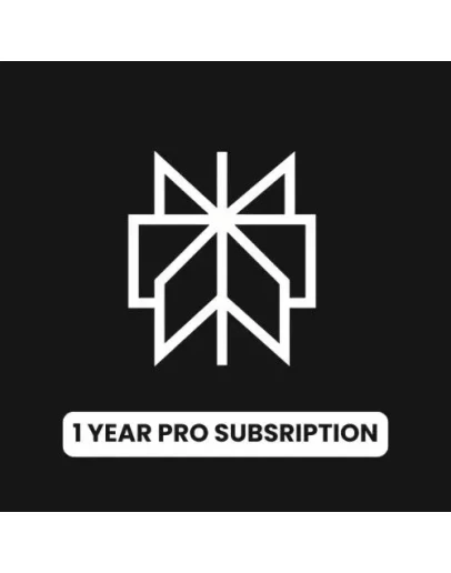 Perplexity AI Pro 1 год (Глобальный) - Ключ