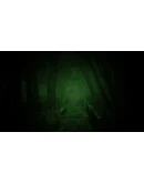 Shizuoka Curse АВТОДОСТАВКА STEAM РОССИЯ