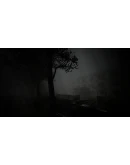 Shizuoka Curse АВТОДОСТАВКА STEAM РОССИЯ