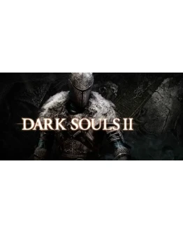 Dark Souls 2 (PS5/RUS) П3 - Активация