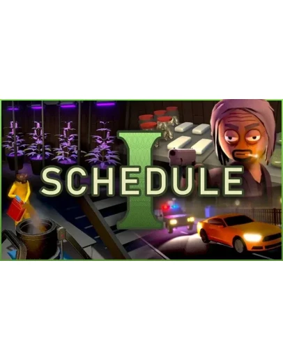 Schedule I (Аренда аккаунта Steam) Онлайн