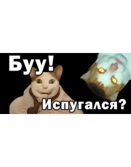 Буу! Испугался? АВТОДОСТАВКА STEAM РОССИЯ