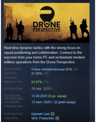 DRONE PERSPECTIVE АВТОДОСТАВКА STEAM РОССИЯ