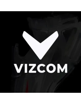 Подписка Vizcom AIProfessional