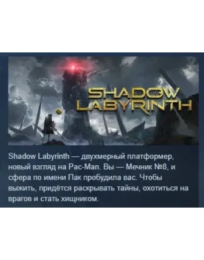 Shadow Labyrinth АВТОДОСТАВКА STEAM РОССИЯ