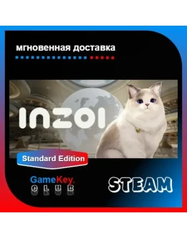 InZOI + Игры Steam Инструкция в комплекте