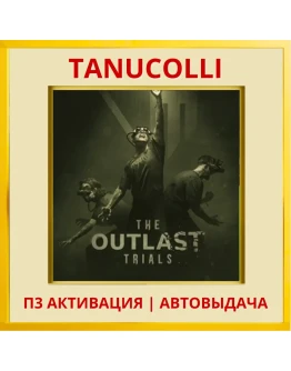 The Outlast Trials (PS4/RU) П3 - Активация