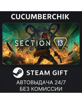 Section 13STEAM GIFT AUTORU+МИР