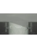 РФ+МИР Rain World: The Watcher STEAM КЛЮЧ