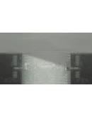 Rain World: The WatcherSTEAM GIFT AUTORU+МИР